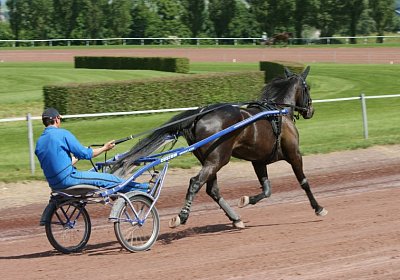 TIMOA Training 7juni2014 DSC08731