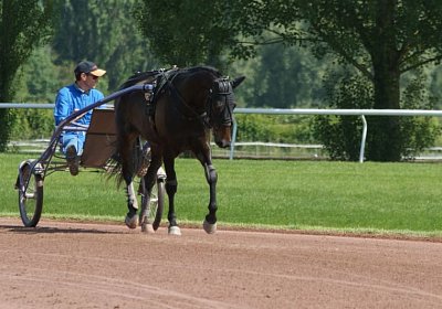 TIMOA Training 7juni2014 DSC08733