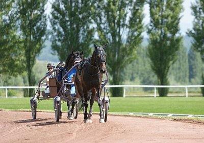 TIMOA Training 7juni2014 DSC08737