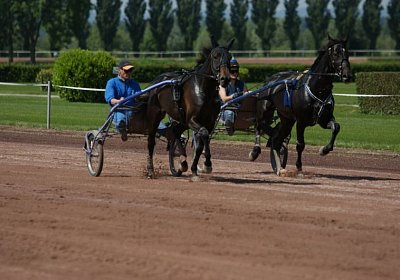 TIMOA Training 7juni2014 DSC08747