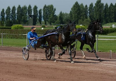 TIMOA Training 7juni2014 DSC08748