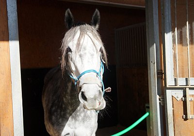 DSC03004 Remedial