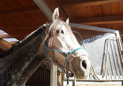 DSC03011 Remedial