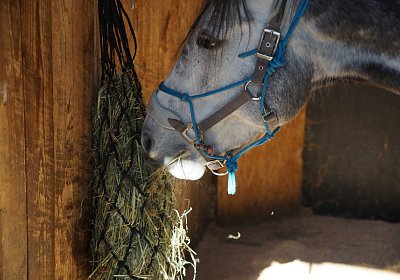 DSC03018 Remedial