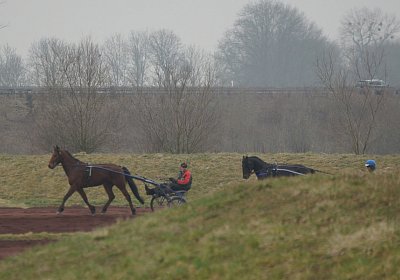 DSC03460 Global Spotify