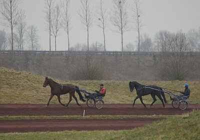 DSC03464 Global Spotify