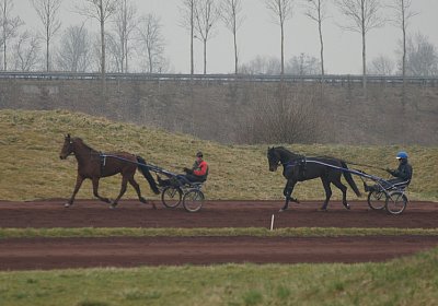 DSC03468 Global Spotify