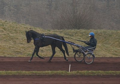 DSC03471 Global Spotify