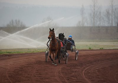 DSC03476 Global Spotify