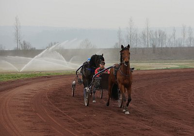 DSC03480 Global Spotify