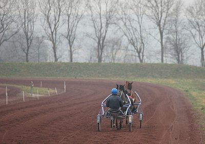 DSC03484 Global Spotify