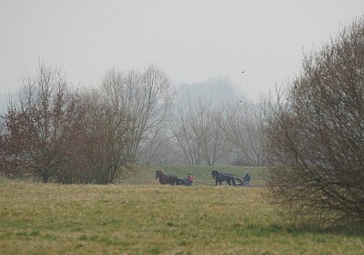 DSC03489 Global Spotify