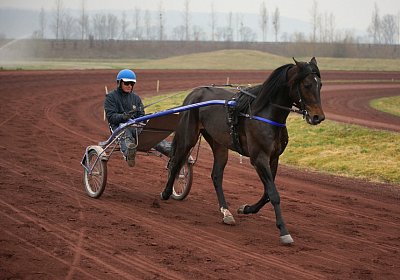 DSC03533 Global Spotify