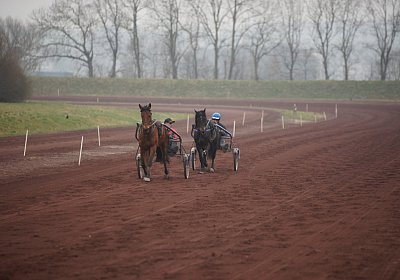 DSC03549 Global Spotify