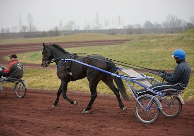 DSC03577 Global Spotify