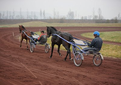 DSC03579 Global Spotify