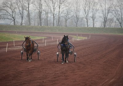 DSC03619 Global Spotify