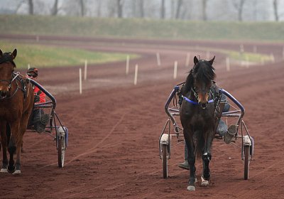 DSC03625 Global Spotify