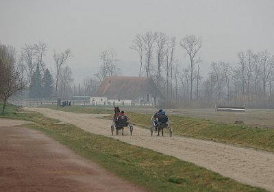 DSC03626 Global Spotify