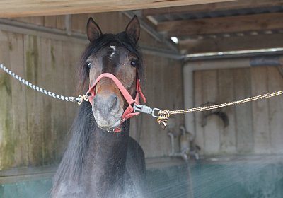 DSC03634 Global Spotify