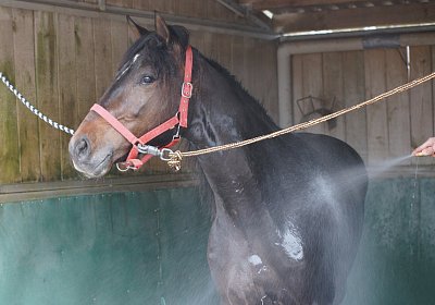 DSC03638 Global Spotify