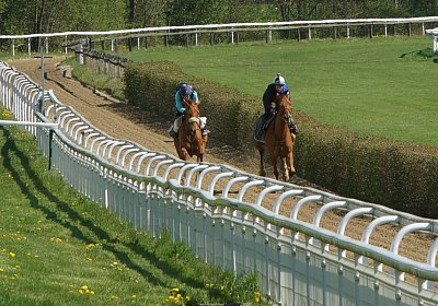 DSC05723 Cherifos Gitan Kugelblitz Dielsdorf 19april15