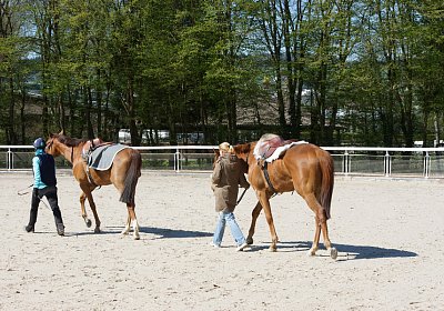 DSC05913 Cherifos Gitan Kugelblitz Dielsdorf 19april15