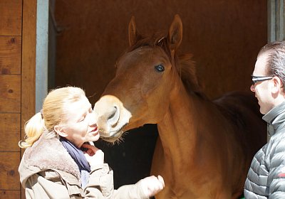 DSC05928 Cherifos Gitan Kugelblitz Dielsdorf 19april15