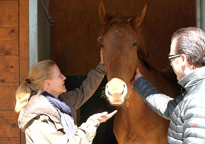 DSC05929 Cherifos Gitan Kugelblitz Dielsdorf 19april15