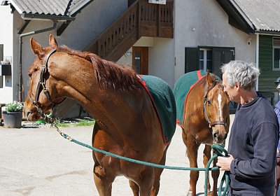 DSC05941 Cherifos Gitan Kugelblitz Dielsdorf 19april15