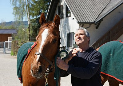 DSC05943 Cherifos Gitan Kugelblitz Dielsdorf 19april15