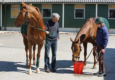 DSC05948 Cherifos Gitan Kugelblitz Dielsdorf 19april15