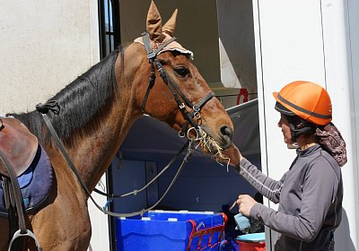 DSC06091 Prince