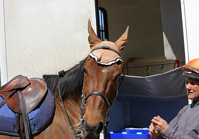 DSC06095 Prince