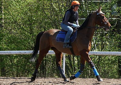 DSC06146 Prince