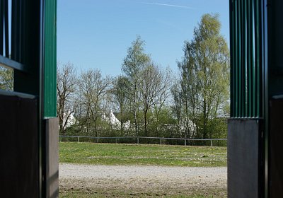DSC06424