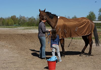 DSC06441 Prince