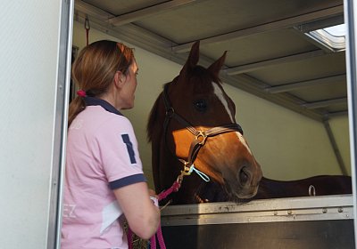 DSC08364 Kugelblitz Dielsdorf 4Juni2015