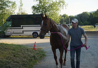 DSC08371 Kugelblitz Dielsdorf 4Juni2015