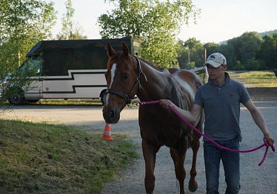 DSC08373 Kugelblitz Dielsdorf 4Juni2015