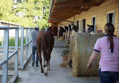 DSC08374 Kugelblitz Dielsdorf 4Juni2015