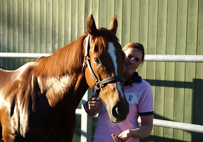 DSC08398 Kugelblitz Dielsdorf 4Juni2015