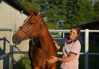 DSC08402 Kugelblitz Dielsdorf 4Juni2015