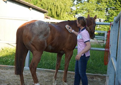 DSC08425 Kugelblitz Dielsdorf 4Juni2015