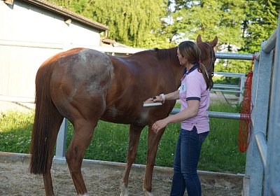 DSC08426 Kugelblitz Dielsdorf 4Juni2015