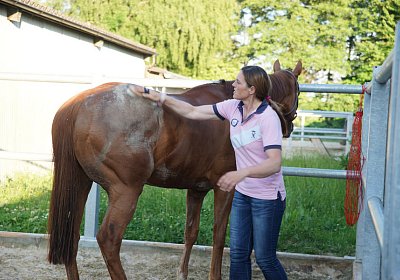 DSC08427 Kugelblitz Dielsdorf 4Juni2015