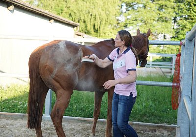 DSC08428 Kugelblitz Dielsdorf 4Juni2015