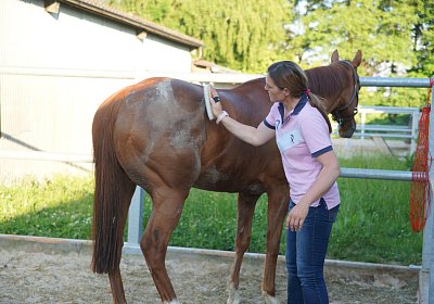 DSC08429 Kugelblitz Dielsdorf 4Juni2015
