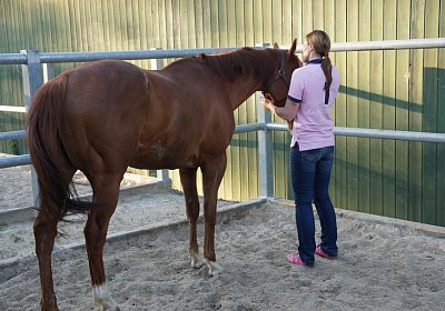 DSC08436 Kugelblitz Dielsdorf 4Juni2015