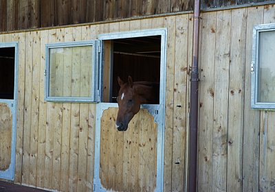 DSC08546 Vivalko Grillplausch 13 juni 15